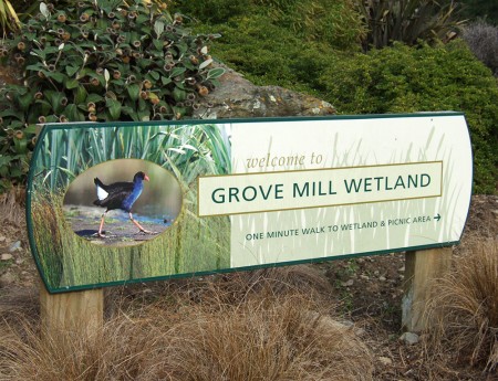 Grove Mill Wetland